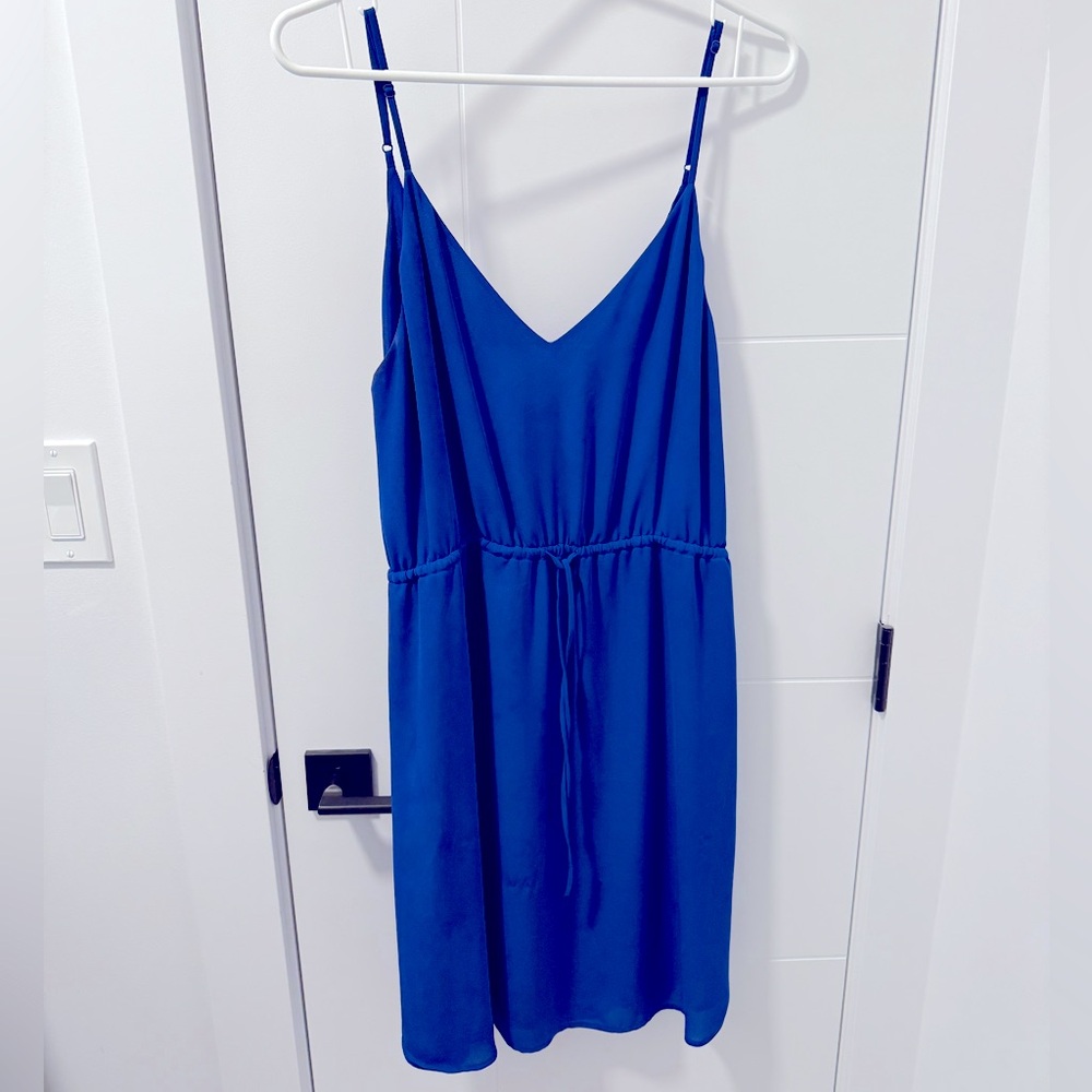 Blue Babaton Dress from Aritzia
